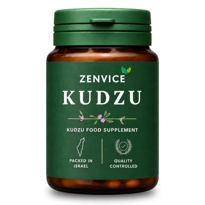 Zenvice