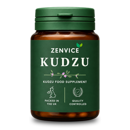 Zenvice