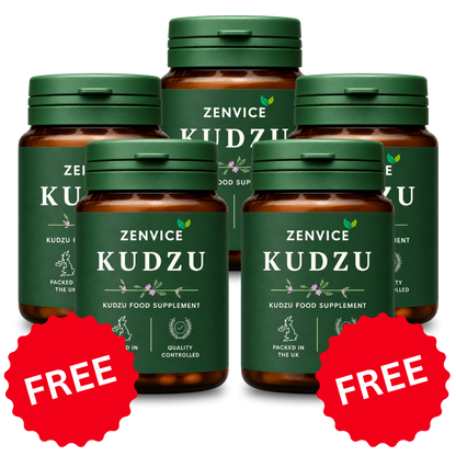 Zenvice