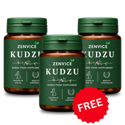 Zenvice